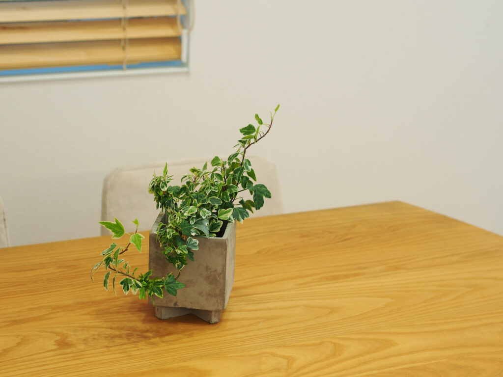 岡山市北区番町1丁目　3号棟